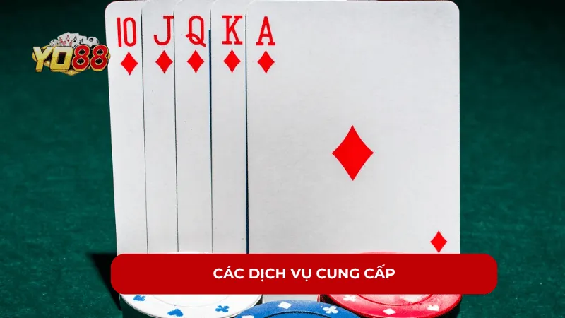 Các dịch vụ cung cấp